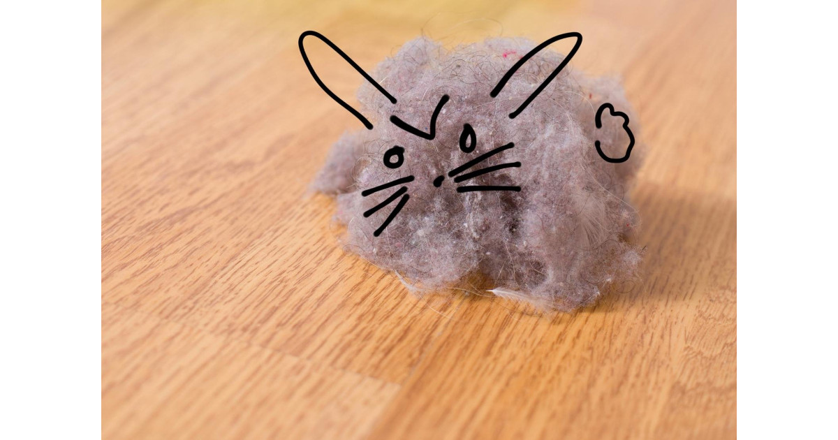 dust bunny是什麼意思？ Teacher Sammy's English Language Blog