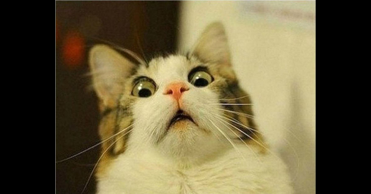 「It’s blowing my mind!」是什麼意思？ | Teacher Sammy's English Language Blog