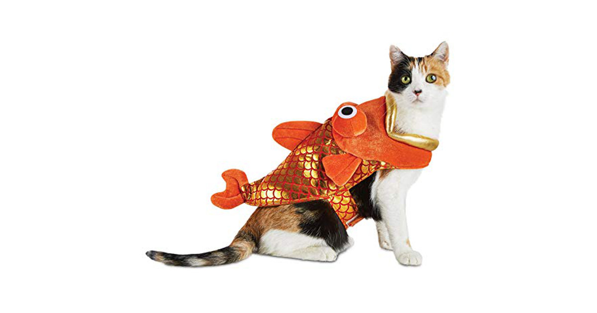 「red herring」是什麼？ Teacher Sammy's English Language Blog