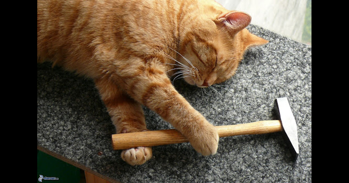 Hammered Home Meaning at Jack Bowers blog