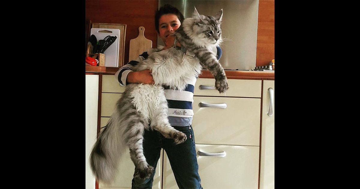 "big time" 是什麼意思? Teacher Sammy's English Language Blog