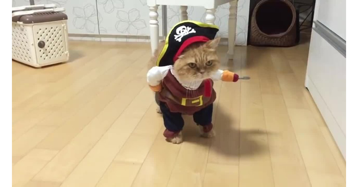 “That ship has sailed.” 是什麼意思?