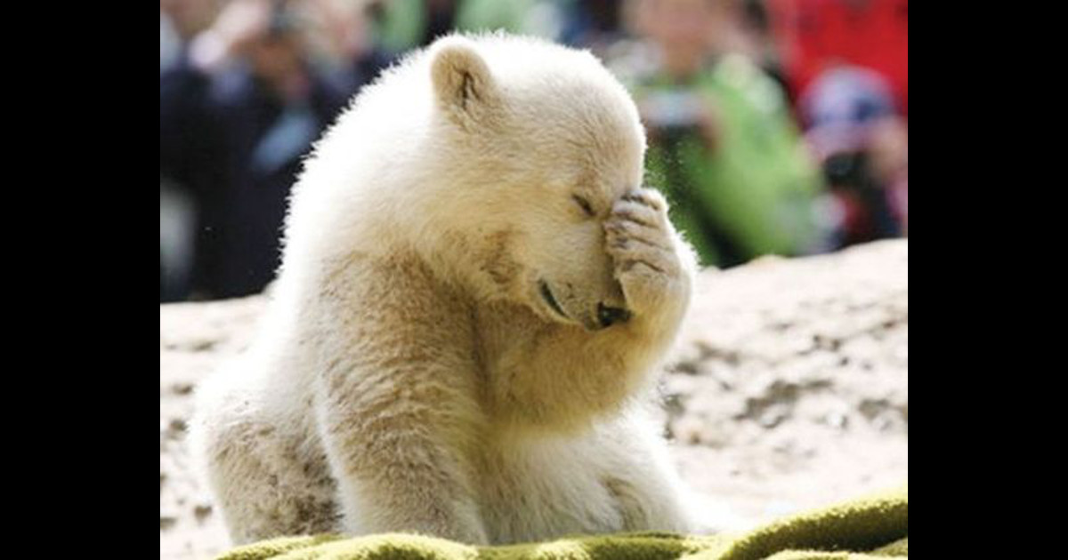 好用字：facepalm是什麼意思？ Teacher Sammy's English Language Blog